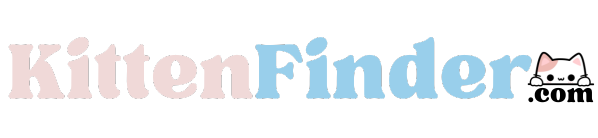 KittenFinder - Find Your Purrrfect Match Today